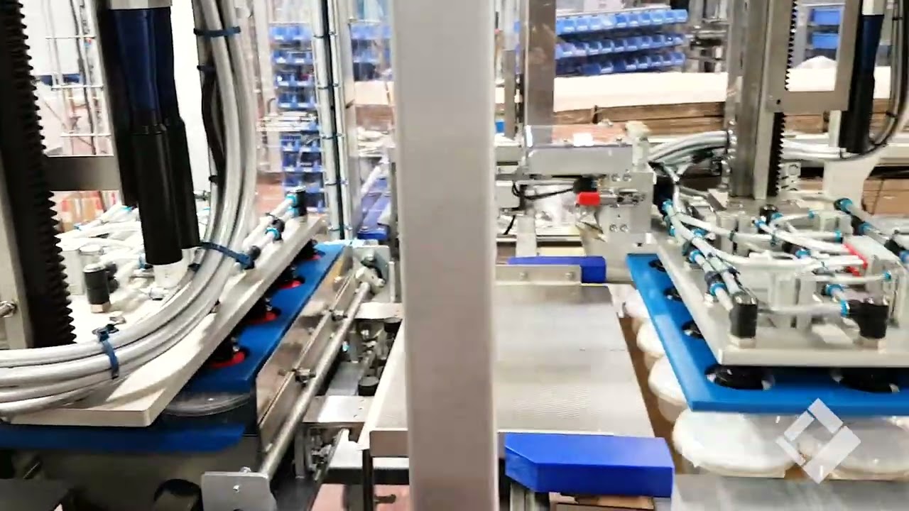 MEYPACK Case Packer VP 451 for Margarine Tubs into Wrap-Around Cases