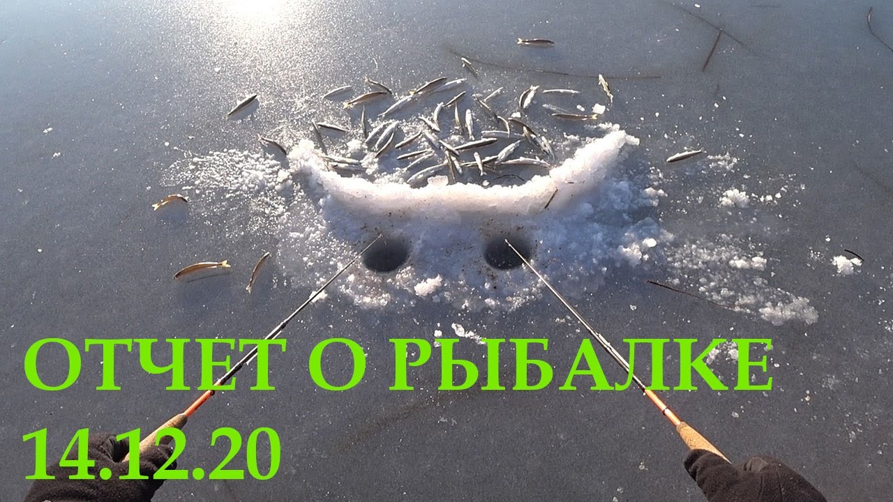 Корюшка 14.12.2020. Рыбалка, Бухта Лагерная(зеленка), о.Русский.