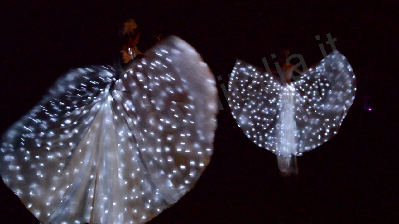 Spettacolo farfalle luminose danzanti