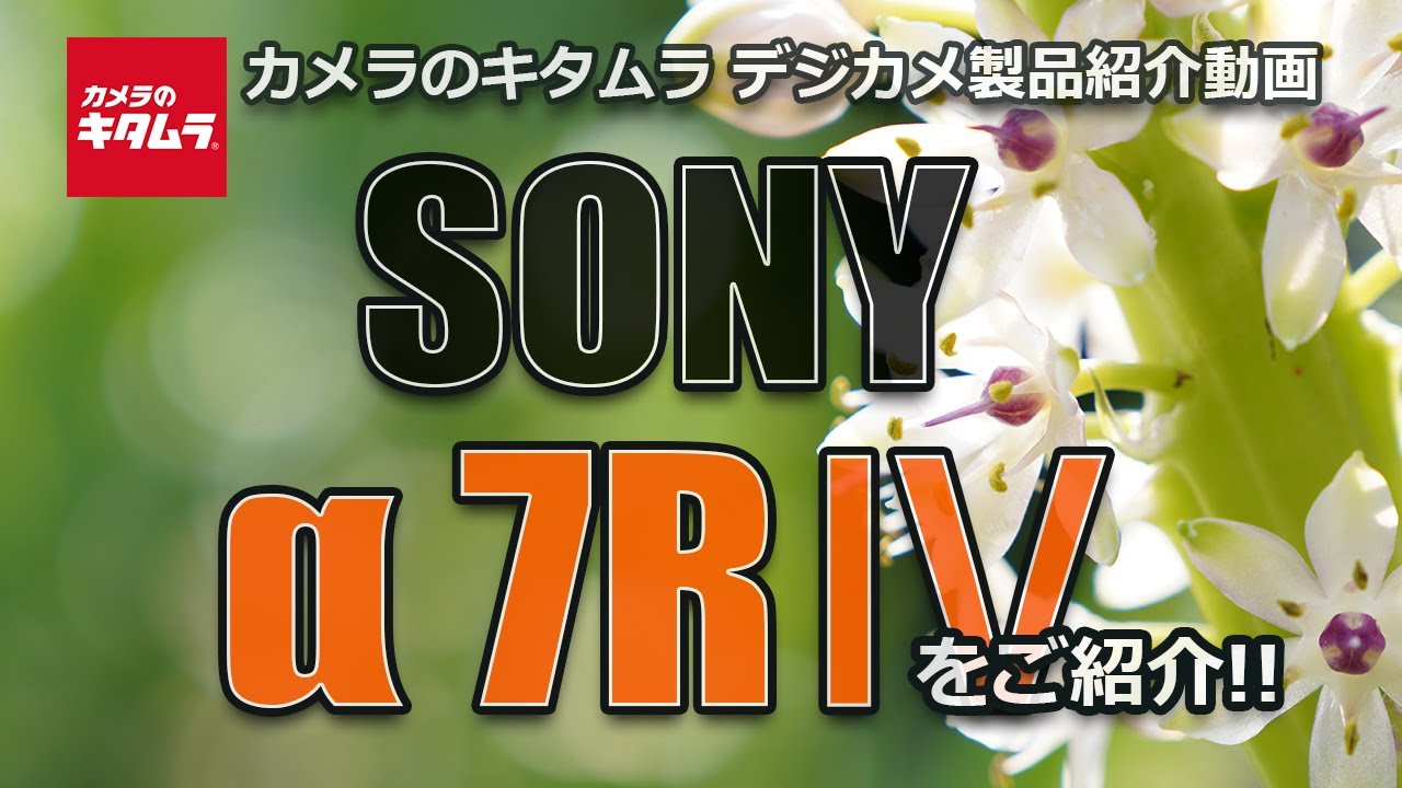 ソニー &alpha;7R IV（カメラのキタムラ動画_SONY）