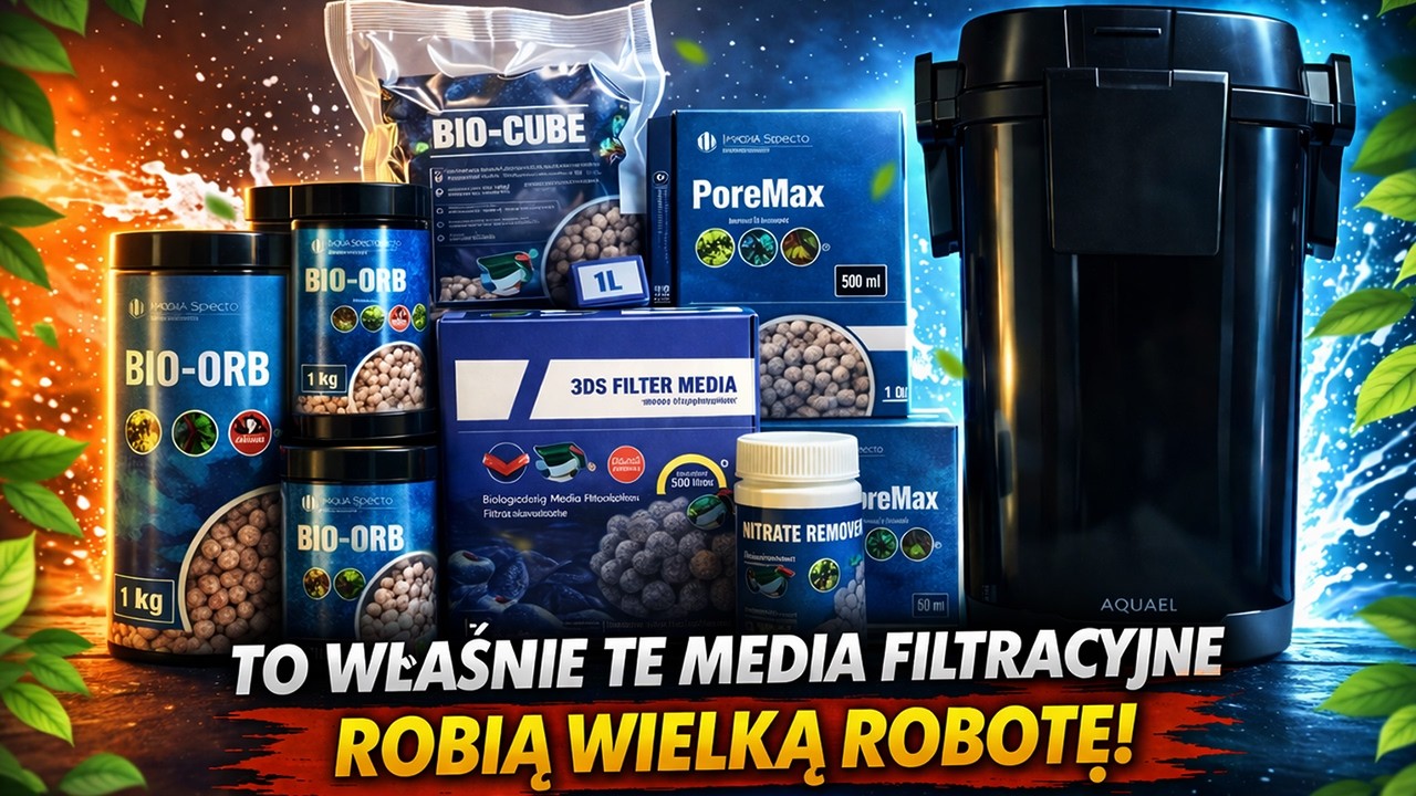 To właśnie TE media filtracyjne robią WIELKĄ ROBOTĘ! - AQUASPECTO