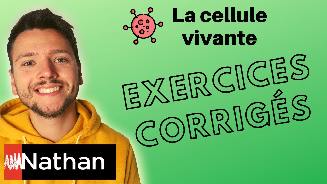 [exercice] La cellule vivante : une structure complexe - Enseignement Scientifique - Première