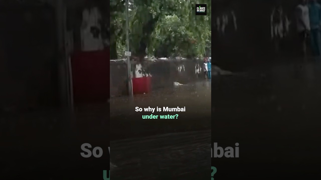 Mumbai Rains: Is El Ni&ntilde;o Actually the Problem?