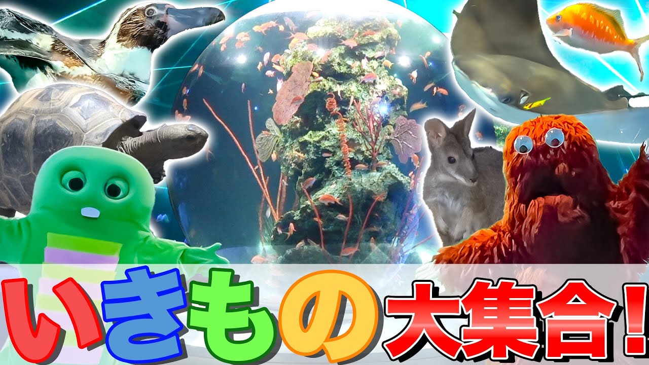 夢の水族館でぼうけんしよう！かわいい生きものとキレイなアートをたくさん楽しんできたよ♪【ガチャピンとムックの休日】