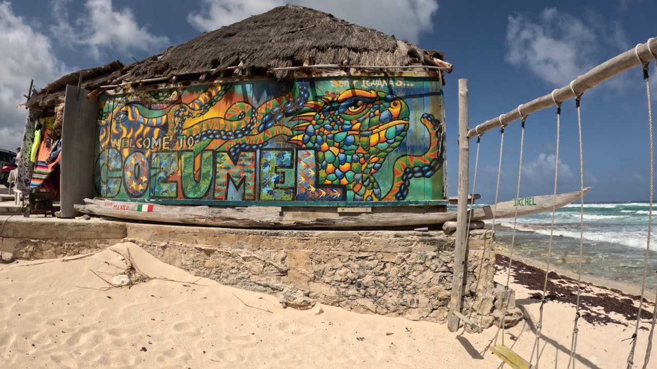 The wild side of Cozumel Mexico
