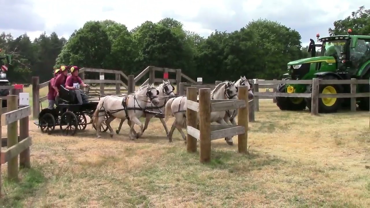 Sandringham National Carriage Driving Trials 2023