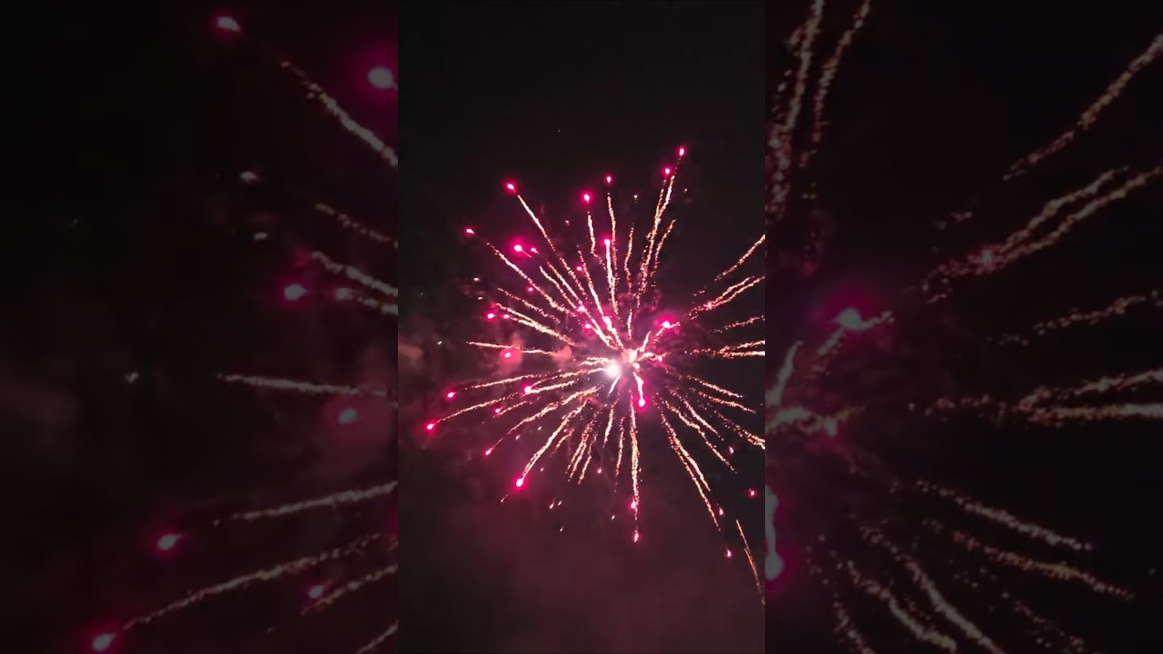 Happy New Year 2026! #shorts