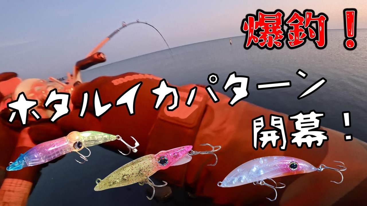 【ホタルイカ】寒くて熱いシーズンイン【ホタルイカパターン】