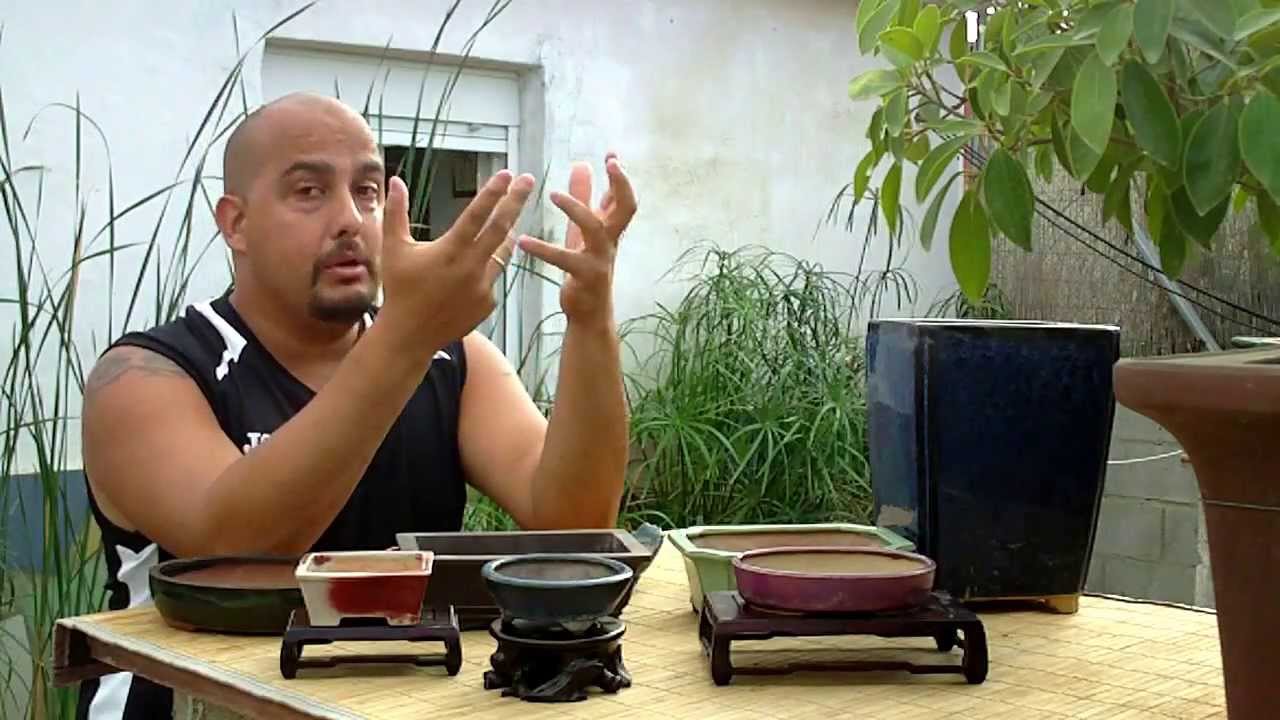 Escuela de Bonsai Online - Macetas