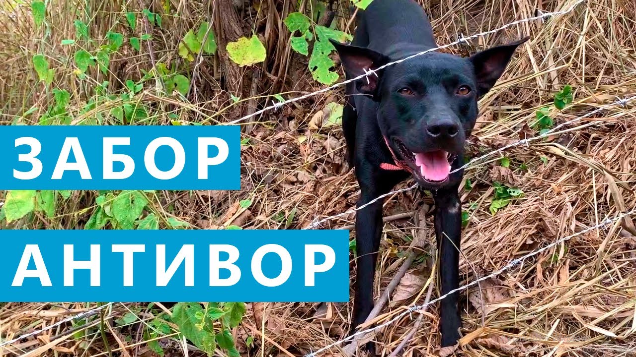 ЗАБОР ИЗ КОЛЮЧЕЙ ПРОВОЛОКИ (НЕ ЕГОЗА). Монтаж и тестирование