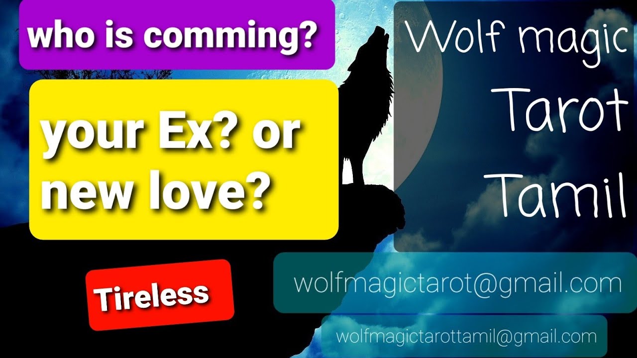 who is coming ? your ex or new love? - Timeless tamil tarot