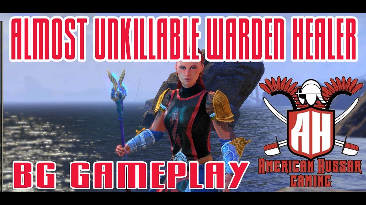 Almost Unkillable Warden BG PVP Healer Gameplay