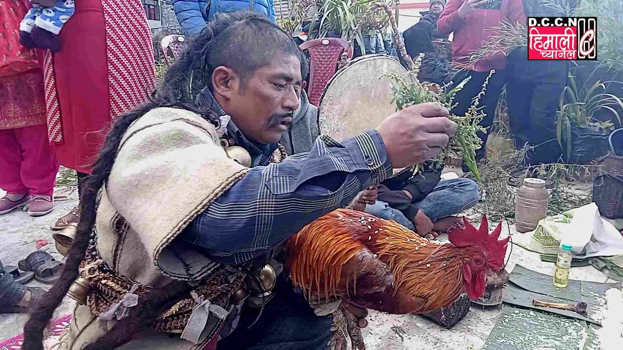 थामी समुदायको धार्मिक भुमे देव पर्व पालन गर्दै थामी सांस्कृतिक एवं विकास संघ, डाली काक झोड़ा शाखा