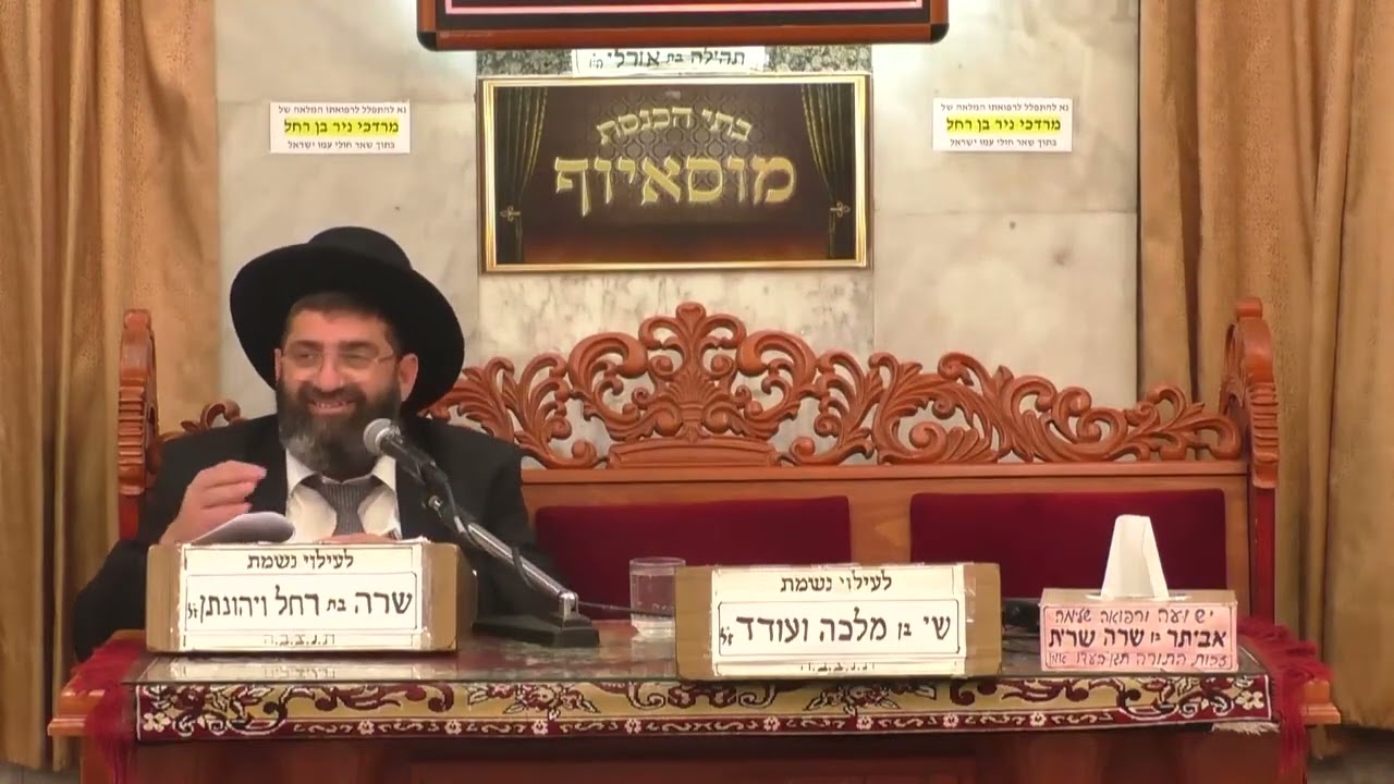 הרב אייל עמרמי | חיים של שלווה | מוסאיוף @musayof-livestream