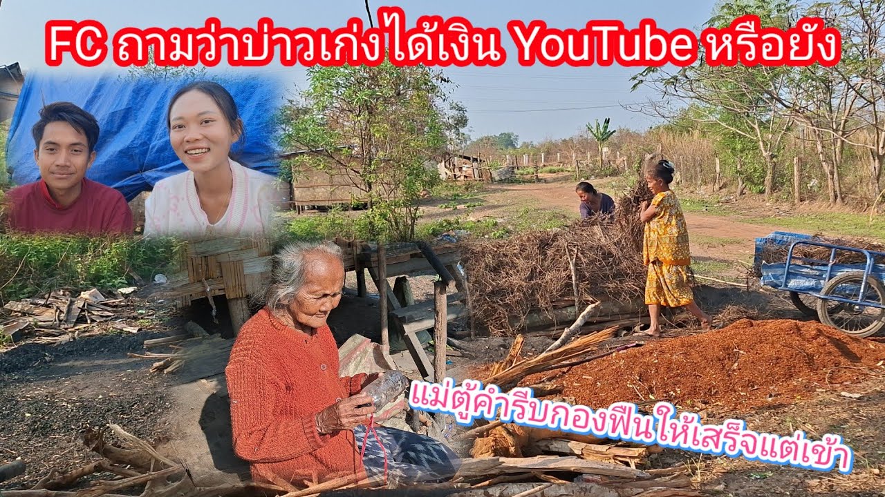 แม่ตู้คำตื่นแต่เช้ายังไม่ได้นึ่งข้าวรีบกองฟืนก่อน 