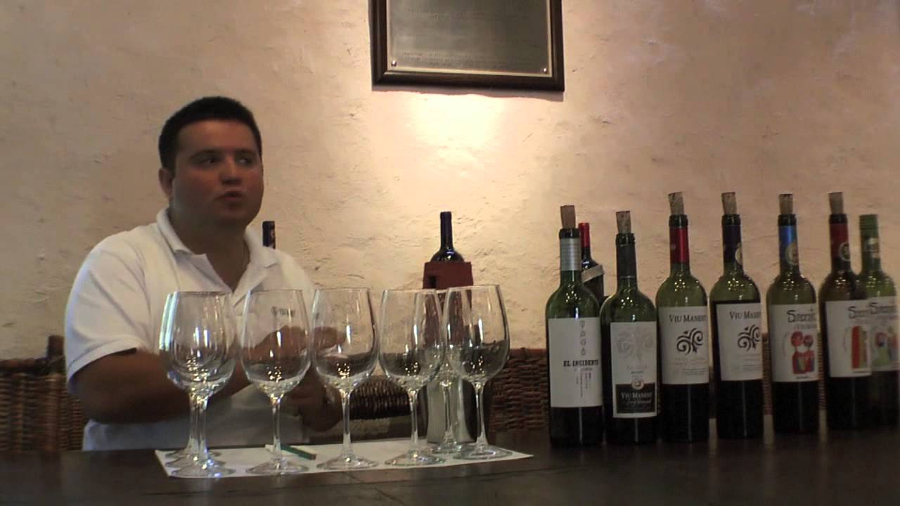 Viu Manent Sauvignon Blanc 100% Secreto 2012  (1)