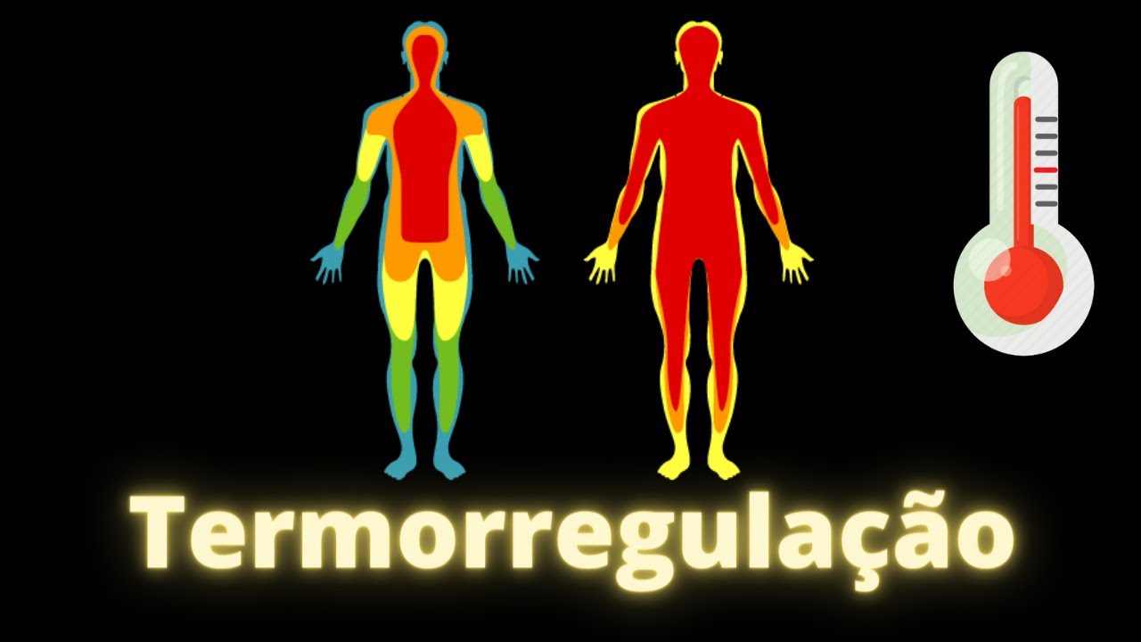 Termorregulação