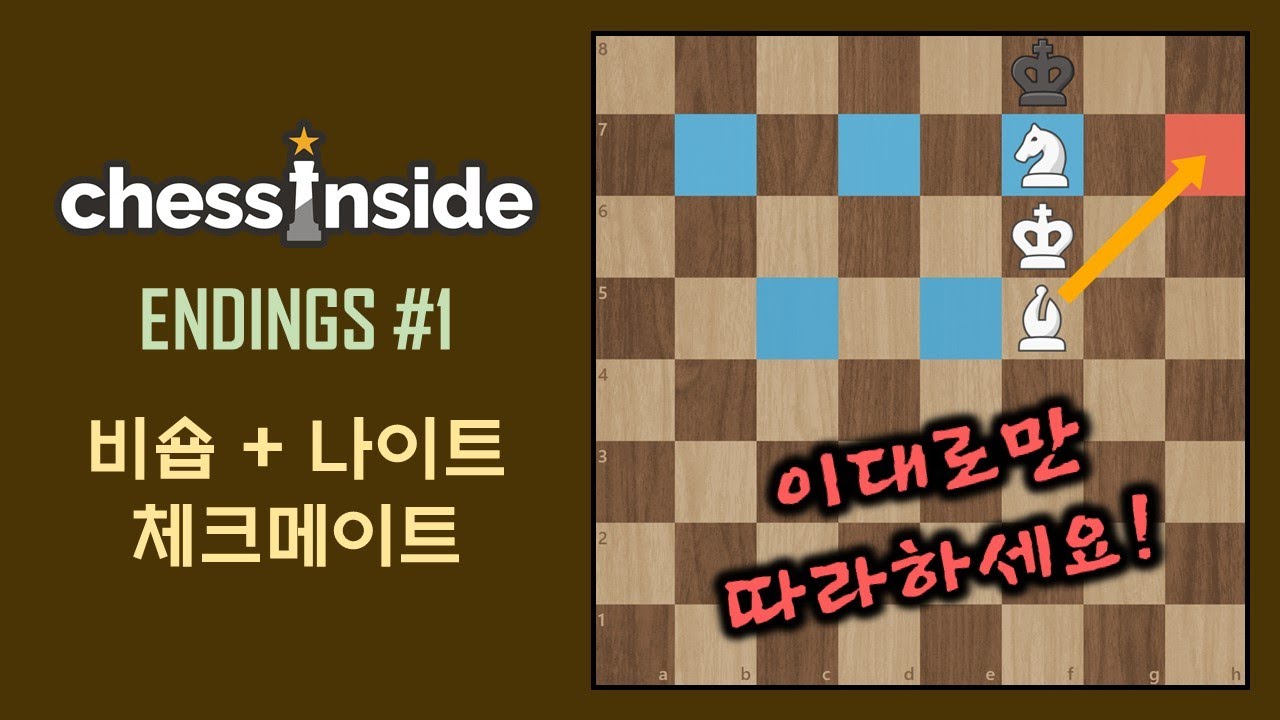 비숍 + 나이트 체크메이트가 어려우신가요? 이대로만 따라하세요!