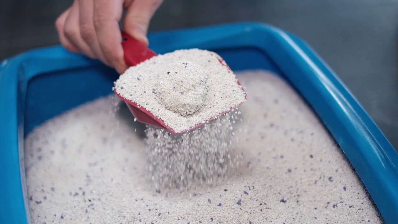 Catmania cat litter - high montmorillonite content and plasticity.