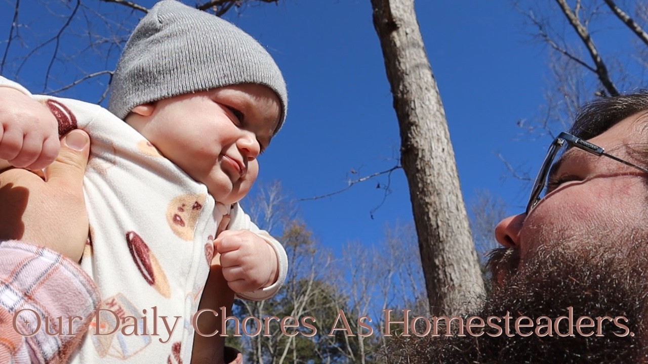 Our Daily Homesteading Chores as a Family of Four