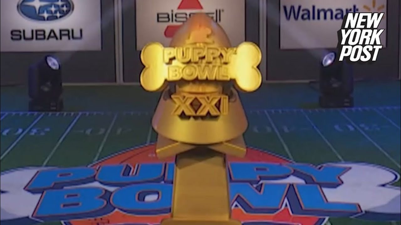 Команда Fluff выигрывает Puppy Bowl 2025 года