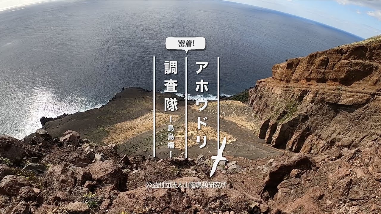 密着！アホウドリ調査隊〜鳥島編〜