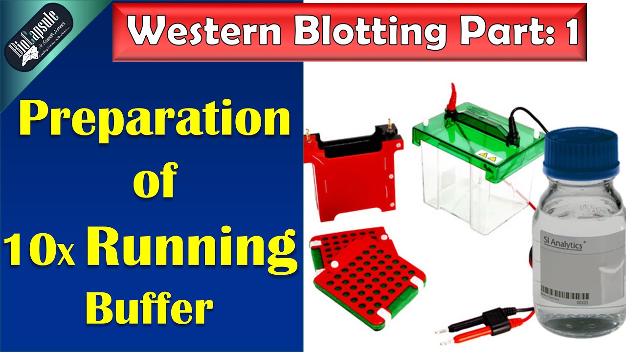 Western Blotting Part 1: 10 X running buffer preparation