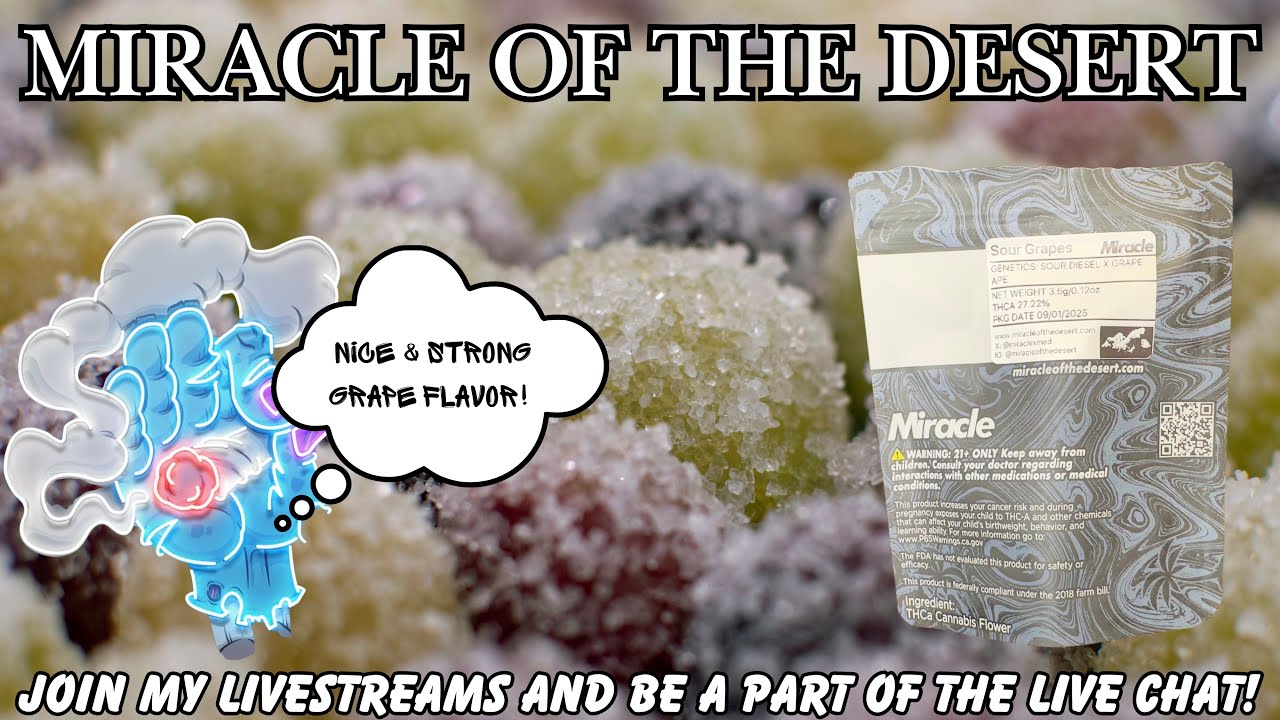 MIRACLE OF THE DESERT THCA FLOWER REVIEW: Sour Grapes (😣🍇🔥) Use Code (SPACECITY)