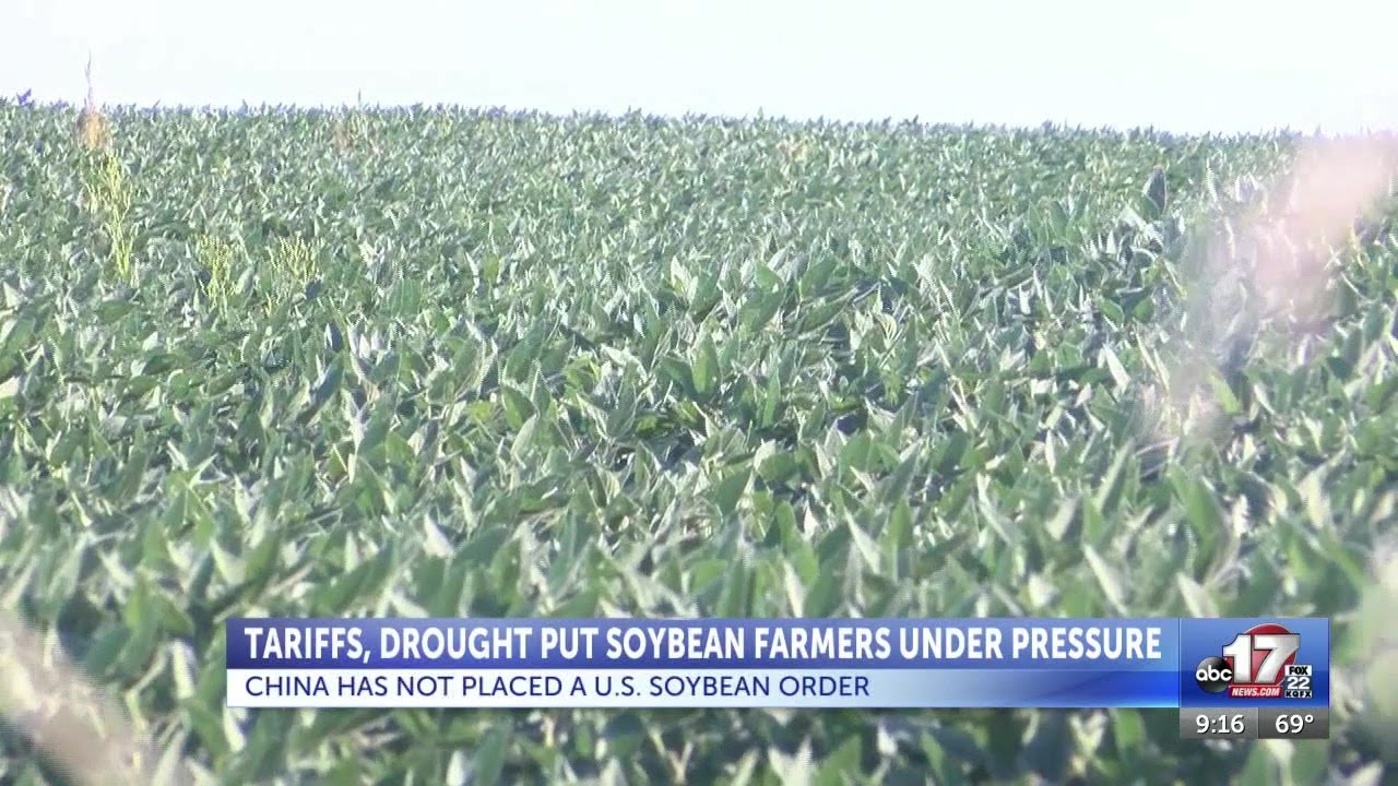 Tariffs, drought put Missouri soybean farmers under pressure