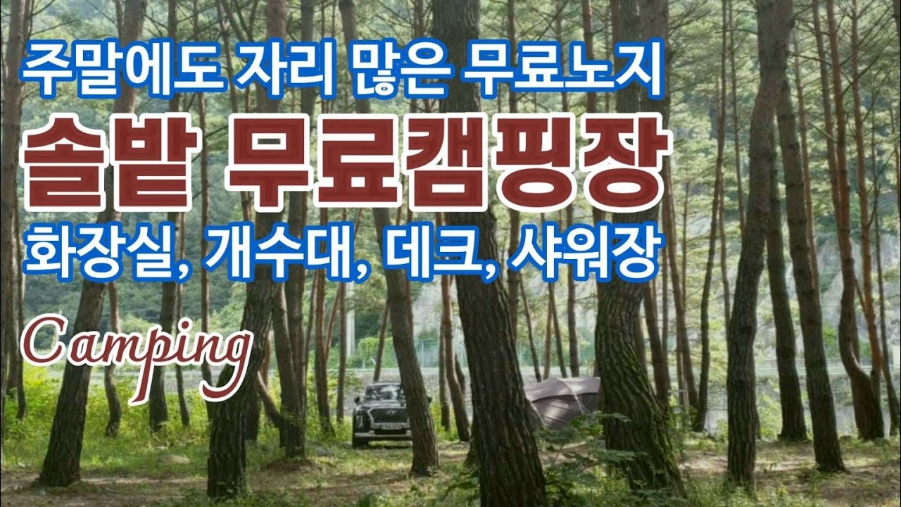 Сосновые леса и реки/Кемпинг в долине/Еда для кемпинга/С собакой./Camping in nature