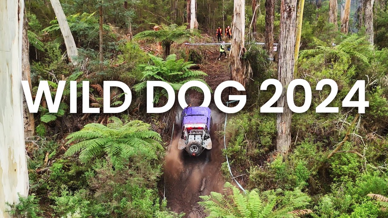 Wild Dog Winch Challenge 2024 | Winch Truck Racing Highlights