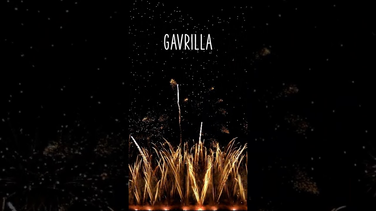 ♪♪ HAPPY BIRTHDAY GAVRILLA ♪♪