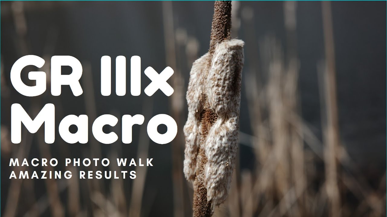 Ricoh GR IIIx - MACRO MODE! Macro Photo Walk at...