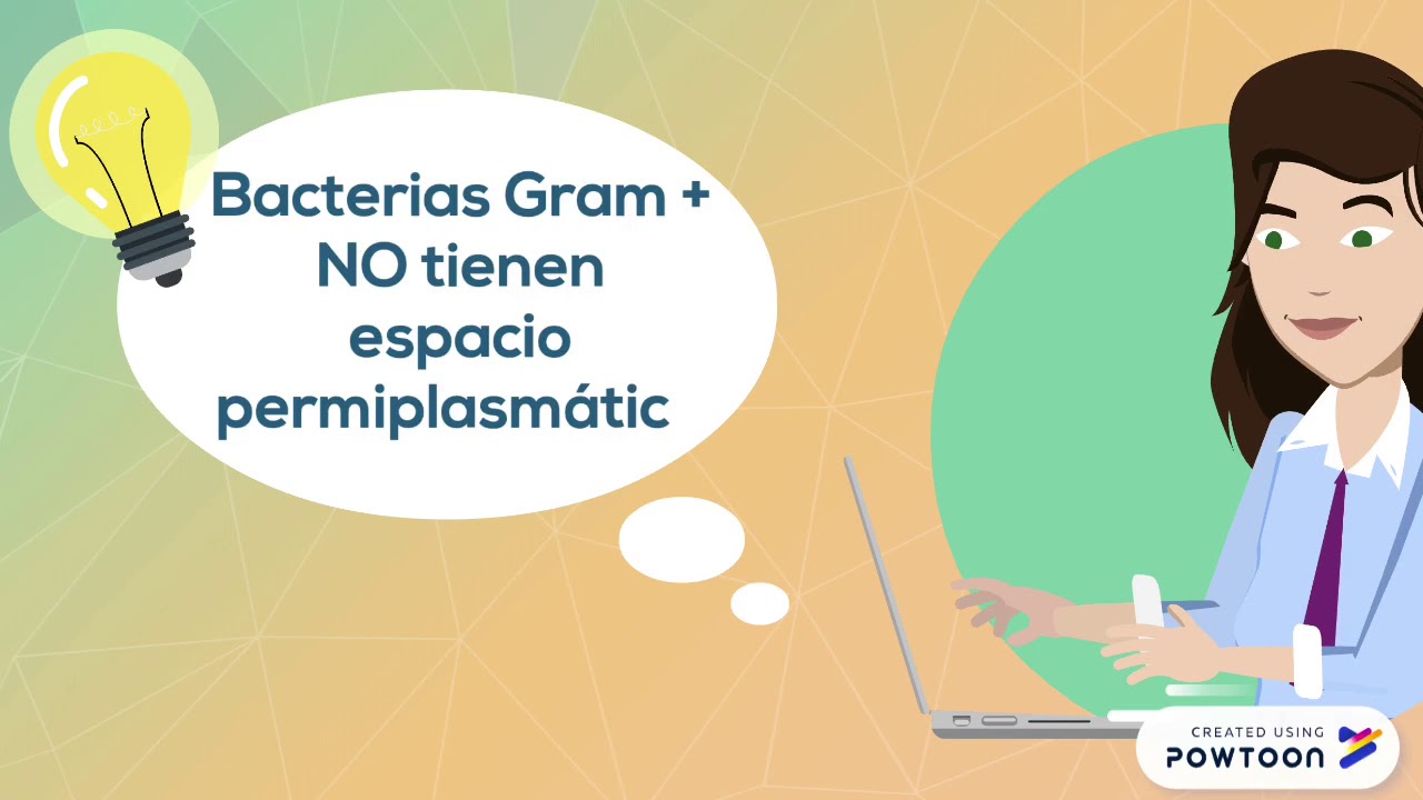 Bacterias Gram Positivas vs Gram Negativas