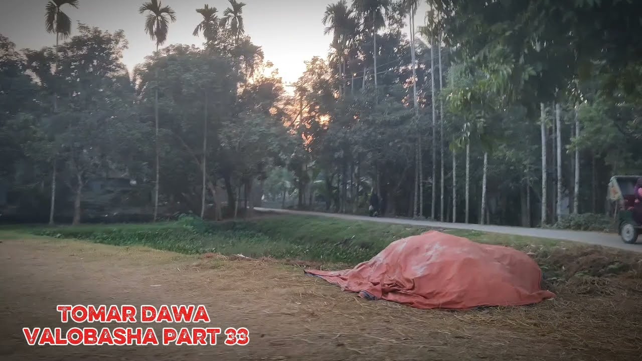 New Golpo তোমার দেওয়া ভালোবাসা / Part 33 / Teling story  Tomar dawa Valobasha - Voice  Jamil  0.3