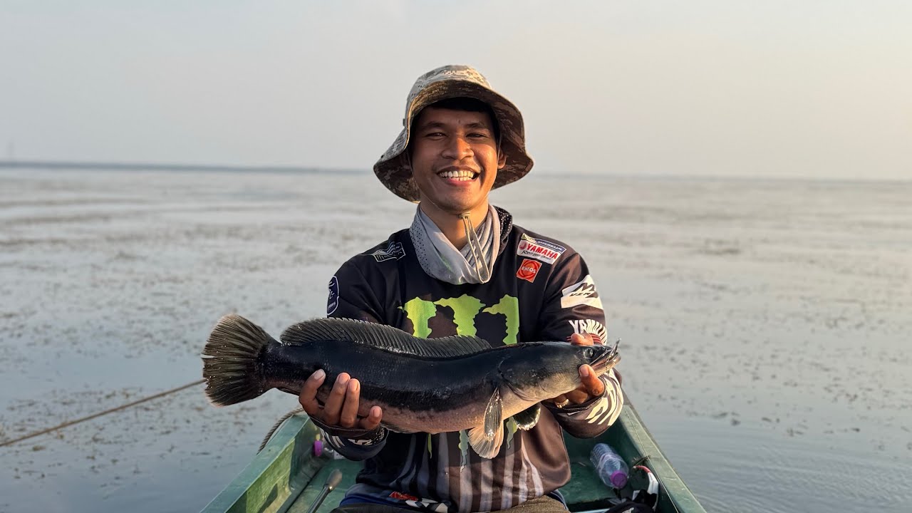 Episode: 001 Fishing 13 giant snakeheads fish at Tonle Sap lake. វីដេអូ​ទីមួយបបក់នៅបឹងទន្លេសាប