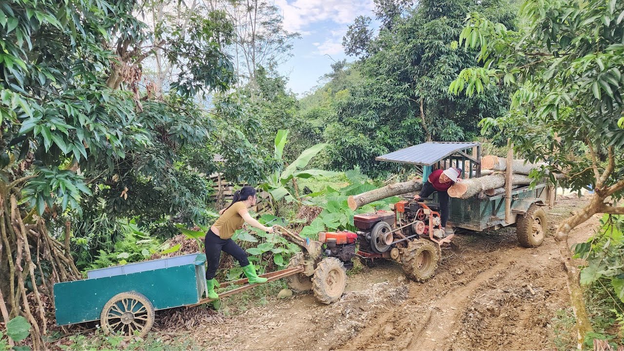 Using Agricultural Vehicles, Two Country Girls Transporting Wood Moving On The Road Stuck In The Mud