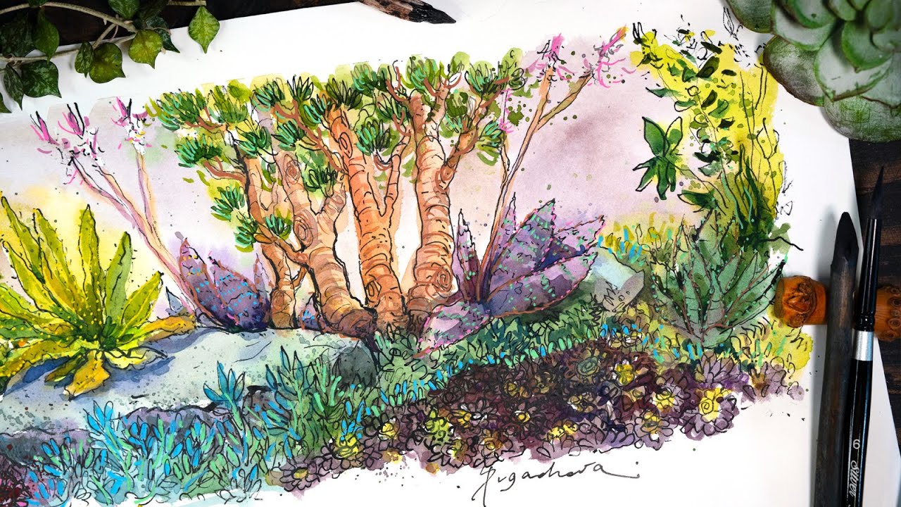 RIVER OF SUCCULENTS | WATERCOLOR | SKETCH