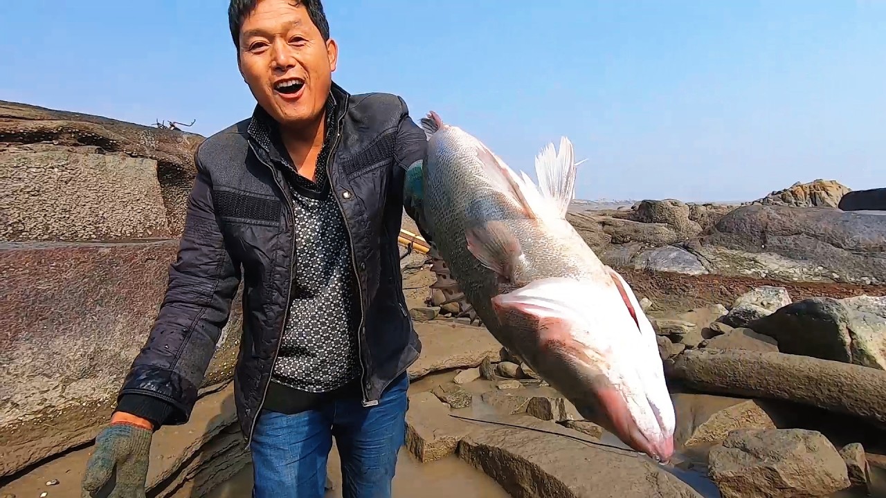 两个月没过来的潮坑，钻进大鲈鱼还有青蟹，又把油钱赚回来了
