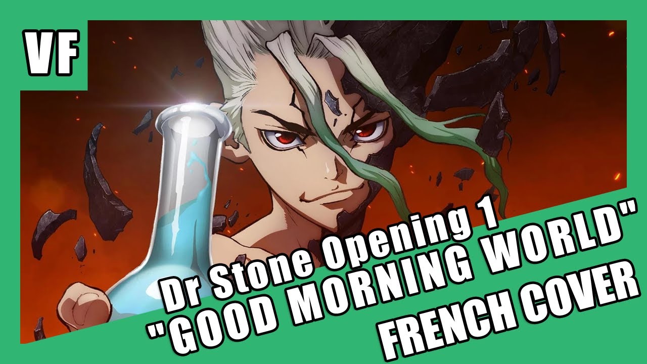 [AMVF] Dr Stone OP1 - "Good Morning World!" (FRENCH COVER)