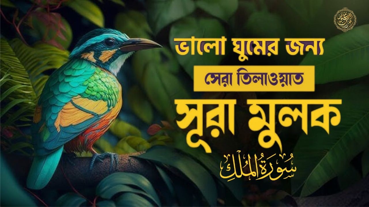 আবেগময় কণ্ঠে সূরা মুলক তিলাওয়াত । Surah Al-Mulk - Emotional Tilawat | By Zain Abu Kautsar