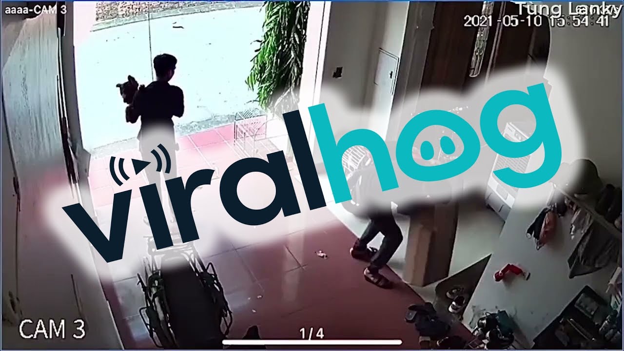 Scary Moment for Doggy Tied to Roller Door || ViralHog