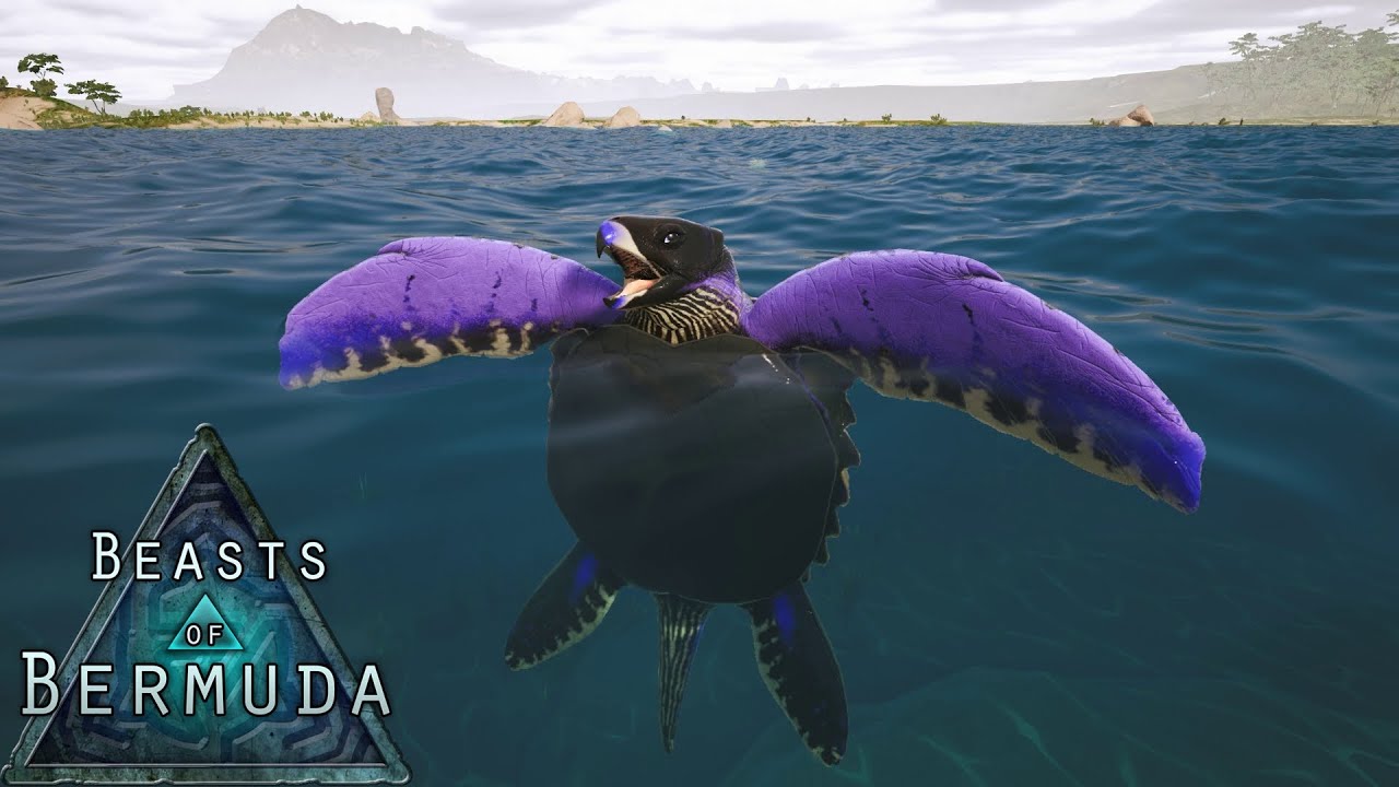 Life of a Giant Sea Turtle (Beasts of Bermuda)
