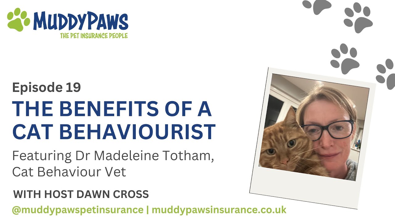 The Benefits of a Cat Behaviourist with Dr Madeleine Totham