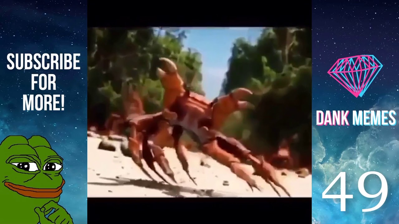 Dank #7