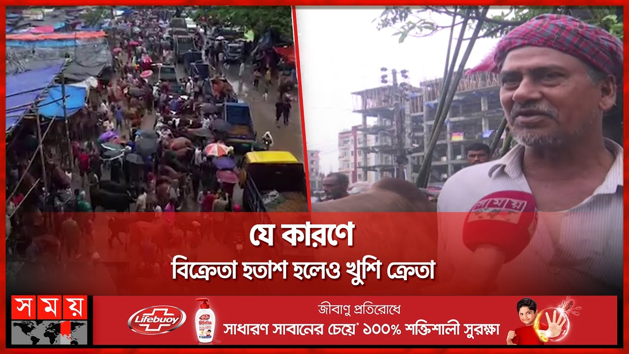 কোরবানির পশু বেচাকেনায় বৃষ্টির বাগড়া | Cow Haat | Dhaka News | Somoy TV