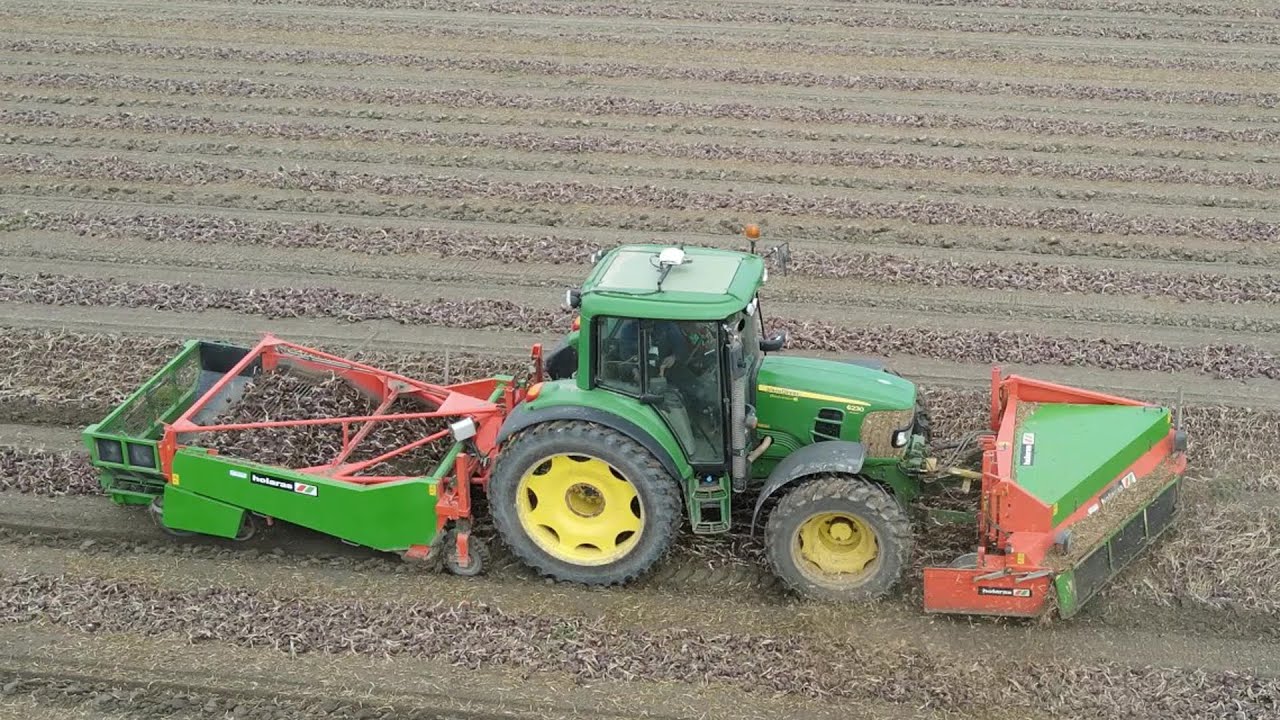 John Deere 6230 harvesting onions with 2.25 mtr Holaras and loading with Krakei Ford 7710