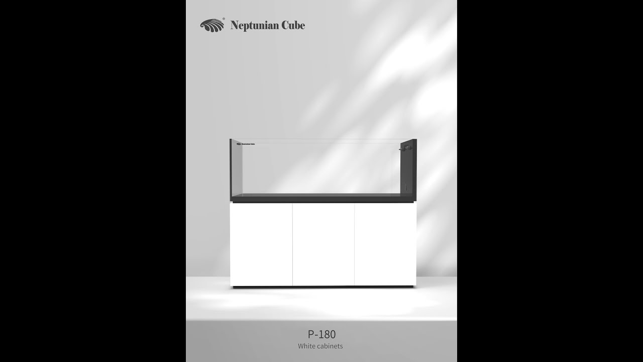Neptunian Cube P-180 Aquarium Installation Video