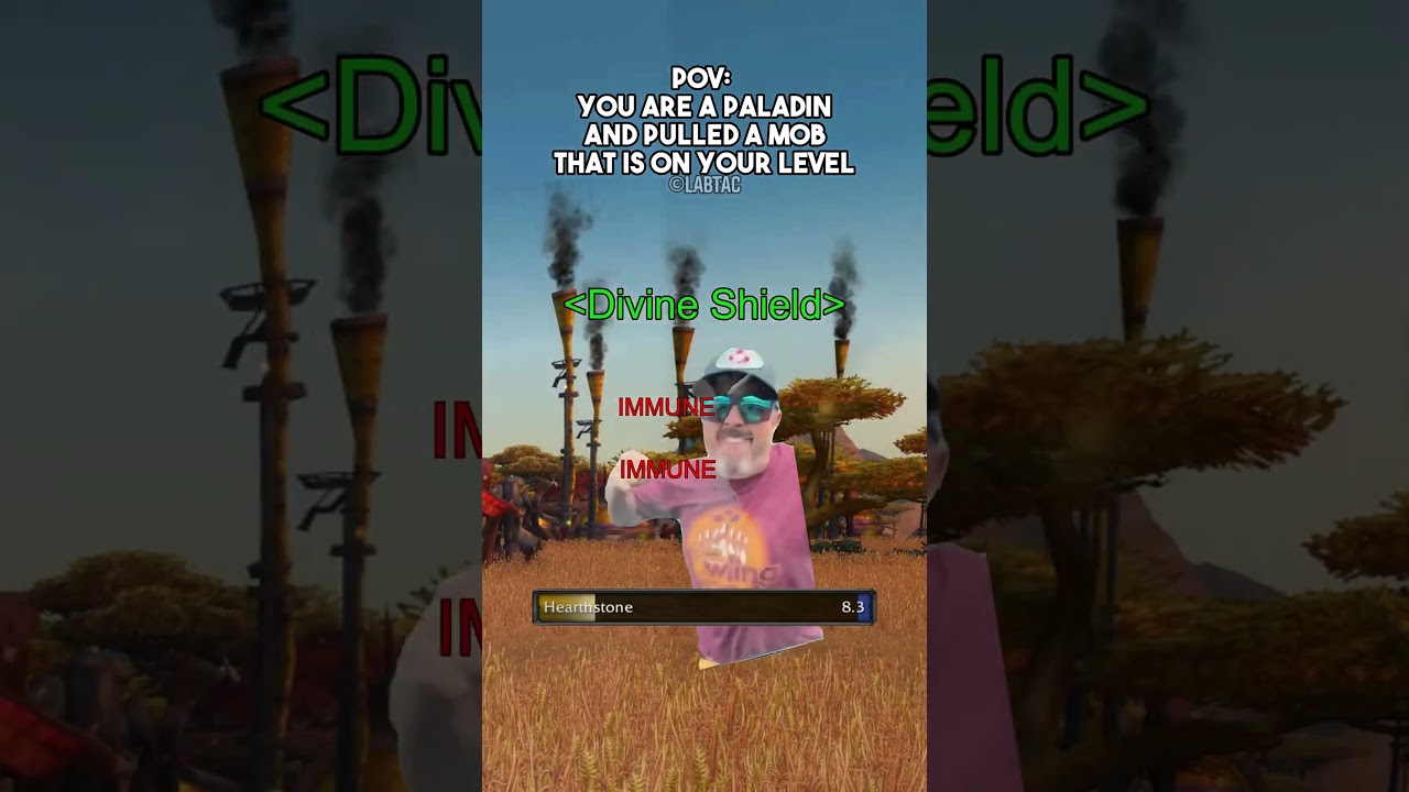 Common Paladin L 😂 #meme #WoW #divineshield #paladin
