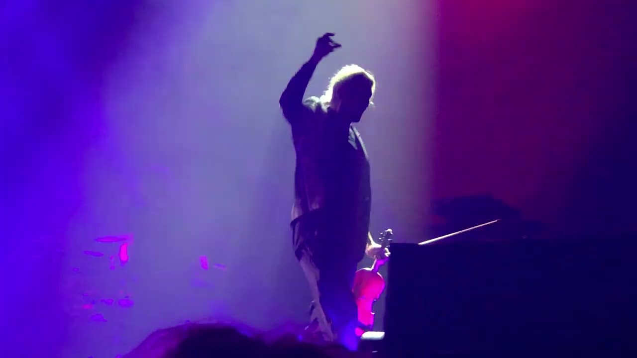 David Garrett (Michael Jackson cover) 2025.04.30. Budapest MVM Dome